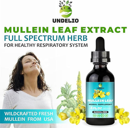 Undelio's Herbal Mullein Leaf Extract - Organic & Alcohol-Free Tincture for Respiratory, Lung, Sleep & Digestive Support - Non-GMO, Vegan - 4 fl. Oz for Immune Health & Lung Detox