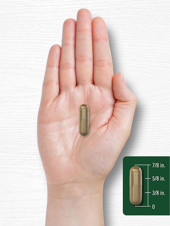 Carlyle Andrographis Paniculata Capsules | 8000mg | 90 Pills | Herb Extract Supplement | Non-GMO and Gluten Free