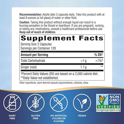 Nature's Way Ginger Root, Promotes Digestive Comfort*, Reduces Motion-Related Nausea*, 1,100 mg Per 2-capsule Serving, Non-GMO Project Verified, Vegan, 240 Capsules