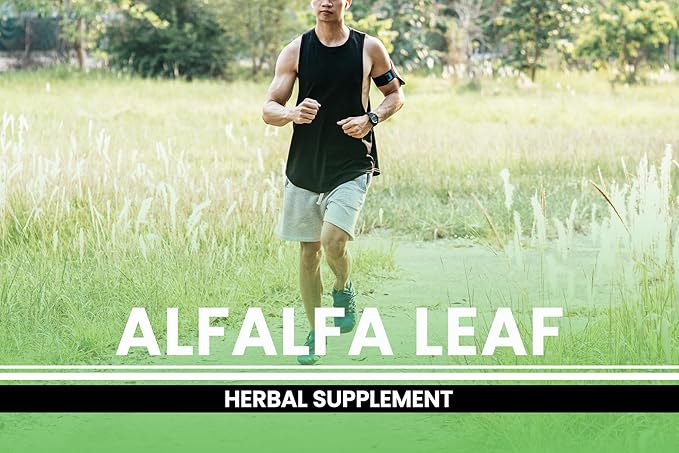 Pure Original Ingredients Alfalfa Leaf (730 Capsules) No Magnesium Or Rice Fillers, Always Pure, Lab Verified