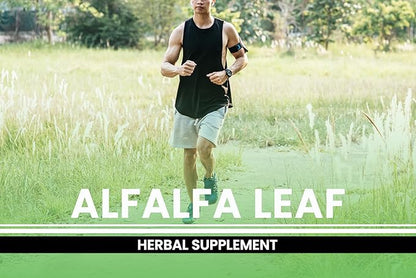 PURE ORIGINAL INGREDIENTS Alfalfa Leaf (365 Capsules) No Magnesium Or Rice Fillers, Always Pure, Lab Verified