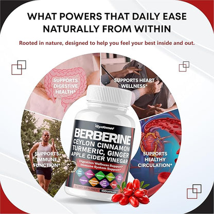 Berberine Ceylon Cinnamon - All-in-1 Supplement with Bitter Melon AVG Gymnema sylvestre Turmeric Milk Thistle Licorice Holy Basil Fenugreek Banaba