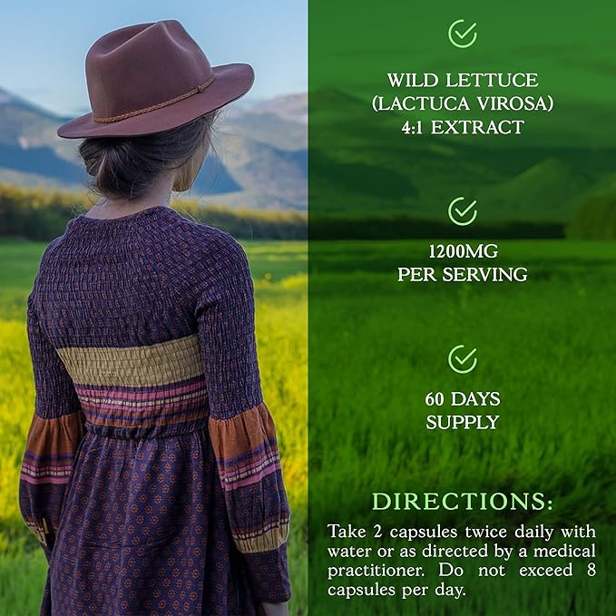 Wild Lettuce Extract – Herbal Sleep Supplement 1200mg, 4:1 Concentrated, Vegan Capsules, Soothes Discomfort, 120 Servings, 240 Count
