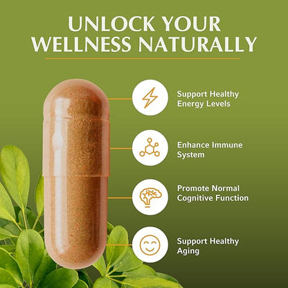 Jiva Botanicals Premium Shilajit Supplement 700 mg - Shilajit Capsules Extract with Minerals, Fulvic/Humic Acid for Immune Support & Nomal Digestive Health - 120 Vegan Capsule