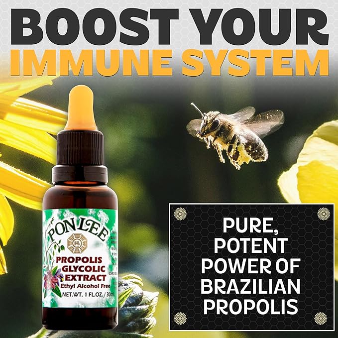 Pon Lee Brazilian Green Bee Propolis Extract 100% Organic, No Alcohol – High Artepillin-C Concentration, Natural Immune Support & Antioxidant, 30ML (3 Pack)