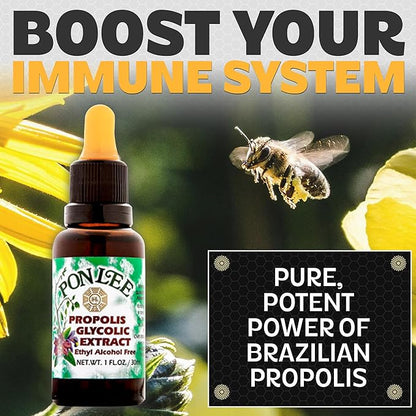 Pon Lee Brazilian Green Bee Propolis Extract 100% Organic, No Alcohol – High Artepillin-C Concentration, Natural Immune Support & Antioxidant, 30ML (3 Pack)