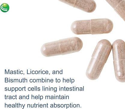 Nutra Biogenesis Gastric Support Complex - DGL Licorice Supplement, Deglycyrrhizinated Licorice Root Extract for Maximum Absorption, Digestion Support with Mastic Gum, Aloe & Bismuth - 60 Capsules