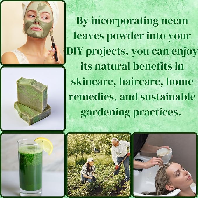 Neem Powder for Hair Growth, Skin Care & Detox Wildcrafted Bitter Neem Leaves Powder for Immune System Support, Digestive Health 5.3 oz