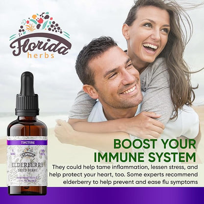 Black Elderberry Tincture, Organic Black Elderberry Extract Extract for Immune Support (Sambucus Nigra) | 2 Fl Oz (1 Pack - 2 Fl Oz)