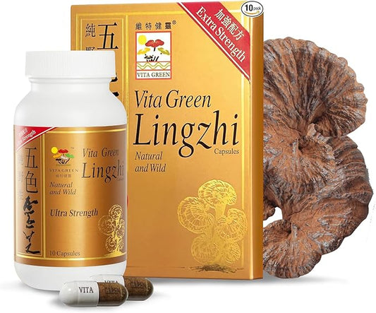 Vita Green Reishi Mushroom Capsules for Energy, Memory, and Immune Support – Pure Reishi Supplement with Natural Antioxidants for Daily Wellness and Engery – 10 Capsules