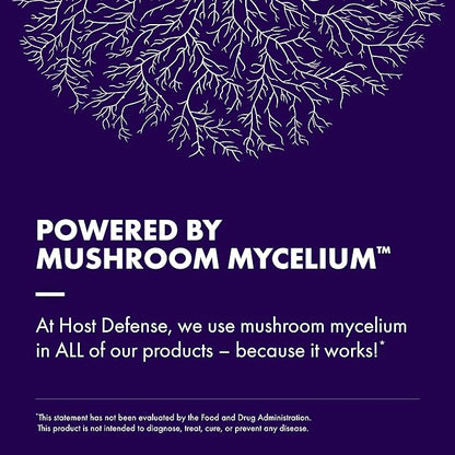 Host Defense MycoBotanicals Brain* Capsules - Brain Support Supplement with Lion's Mane, Reishi & Cordyceps Mushroom - Herbal Supplement for Memory & Focus Support - 60 Capsules (30 Servings)*