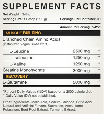 Creatine 3G Peak Post Workout Recovery Powder - 5G BCAA 2:1:1 - Glutamine 2G - Creatine Monohydrate Muscle and Strength Building Supplement - 30 Servings - Tropical Mango
