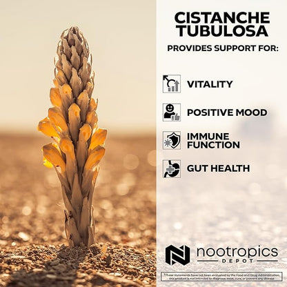 Nootropics Depot Cistanche tubulosa Tablets | 200mg | 60 Count | Minimum 50% Echinacoside + 10% Acetoside (Verbascoside) | Promotes Physical Strength and Energy | Promotes Vitality