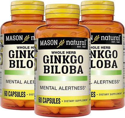 MASON NATURAL Ginkgo Biloba, 3 Month Supply, Helps to Improve Mental Alertness & Support Optimal Brain Function, 60 Capsules (3 Pack)
