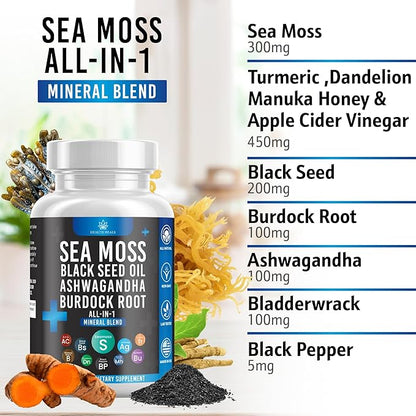 Silicon Sea Moss Black Seed Oil Ashwagandha Bladderwrack Burdock - 180 Count