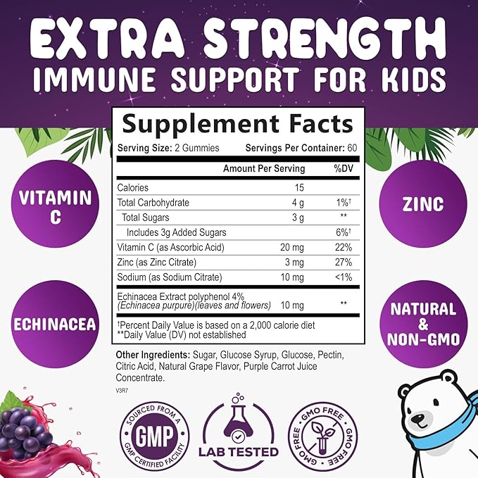 Kids Immune Support Gummy - Vitamin C, Zinc & Echinacea, Berry Flavor Children's Daily Immune Health Support Gummies for Ages 4 and Up, Nature's Vitamins for Kids, Vegan & Non-GMO - 120 Gummies
