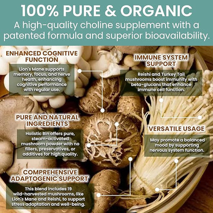 Holistic Bin Mushroom Blend Powder – 19 Wild Harvested Varieties (Lion's Mane, Reishi, Enoki, Mesima, Turkey Tail, Cordyceps, & More) – Adaptogenic Mushrooms – Made in The USA – 50 Grams