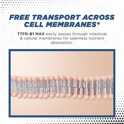 TTFD Thiamine B1 Supplement 60Capsules Made in USA- Thiamine TTFD Vitamin B1 MAX, High-Potency Supplement for Energy & Focus, Supports Healthy Nerve Function & Overall Wellness by MaxLife Naturals