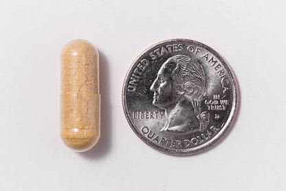 Procare Health Bariatric Multivitamin with Iron Free (30 Fast Dissolving Veggie Capsule) - Bariatric Vitamins for Gastric Sleeve & Gastric Bypass, Bariatric Multivitamin Without Iron (1 Month Supply)*