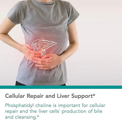 Nutricology Phosphatidyl Choline Supplement - Lecithin Capsules, Digestive Enzymes for Liver, Fat Digestion Support, Choline Supplements for Fatty Liver, 1540mg Softgels - 100 Count