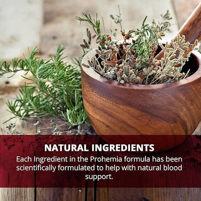 Natural Blood Builder Iron Supplement and Support for Healthy RBC & Oxygen Levels and Red Blood Cells Production for Women and Men - 60 Pills