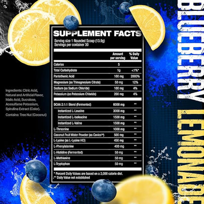 HOSSTILE SILO[9] Essential Amino Acids, EAA & BCAA Powder, Electrolyte Hydration Support, Enhance Muscle Recovery, Build Lean Muscle, Pre or Post Workout Drink, Blueberry Lemonade, 30 Servings