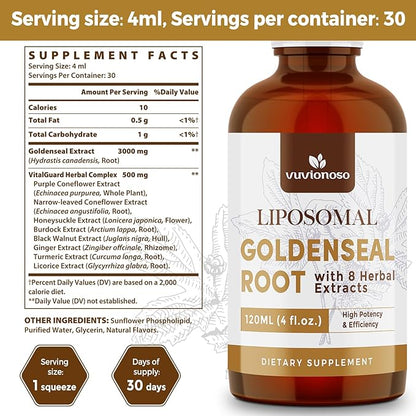 Golden Seal Tincture 3000mg - Goldenseal Root for Immune Function & Lung Care - Sugar-Free, Vegan, Fast Absorbing - Echinacea & Goldenseal Liquid Extract, 120ml (Pack of 2)