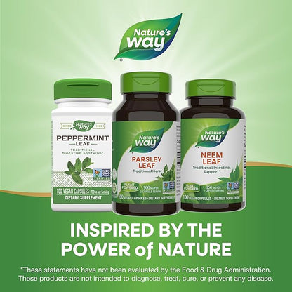 Nature's Way Premium Herbal Parsley Leaf Provides Chlorophyll, 100 Vegan Capsules
