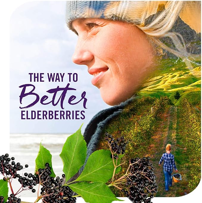 Nature's Way Sambucus Immune* Elderberry Syrup with Echinacea, Zinc & Vitamin C, 4 Oz (Pack of 2)