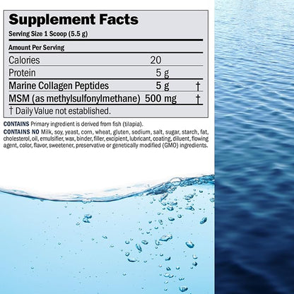 ANDREW LESSMAN Marine Collagen Peptides Powder and MSM 240 Servings - Supports Radiant Smooth Soft Skin, Comfortable Joints. Pure. Super Soluble No Fishy Flavor No Additives Non-GMO