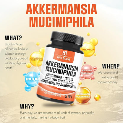 5in1 Akkermansia Probiotic Capsules for Increases GLP-1 - Contains Inulin, Bacillus Coagulans, Lactobacillus Acidophilus and Chromium - 60 Capsules for 60 Days