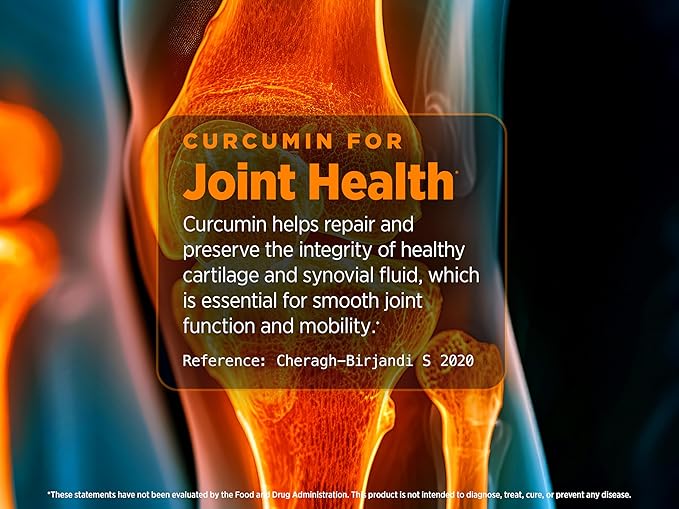 Biotest Micellar Curcumin - 95x Greater Absorption for Joint Health, Healthy Inflammation Response & Recovery - 60 Capsules (60 Day Supply)
