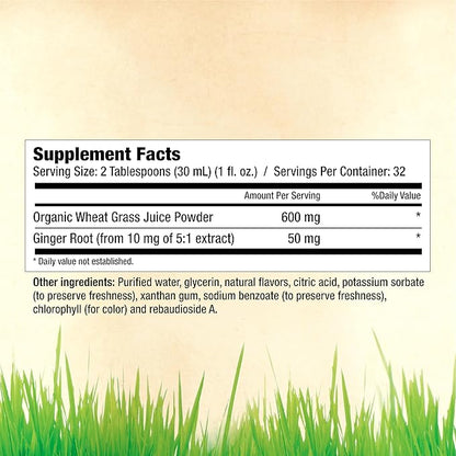 Garden Greens Wheat Grass Liquid with Real Ginger Extract, Nature's Perfect Superfood, 32 servings