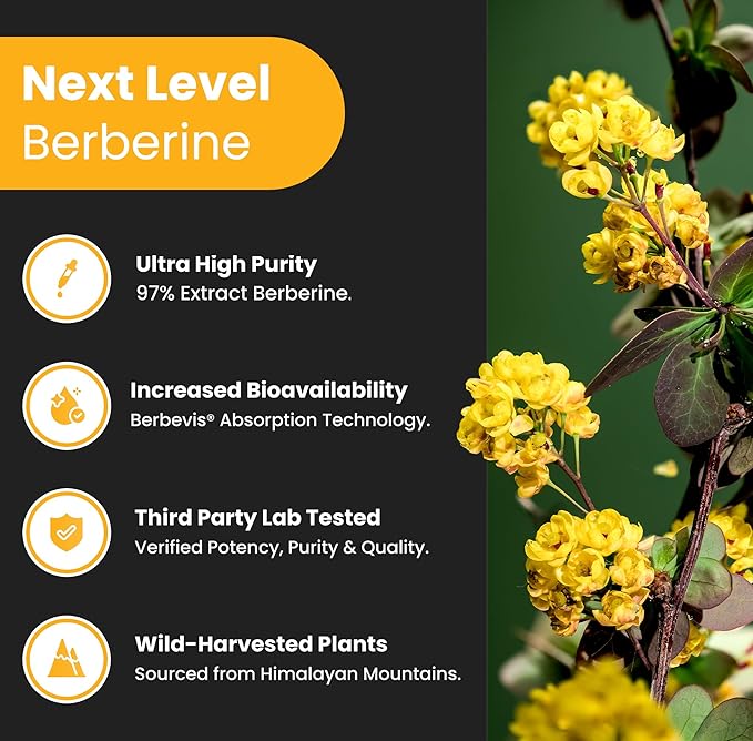NutraChamps Complete Vitality & Metabolic Health: Tribulus & Berberine Duo