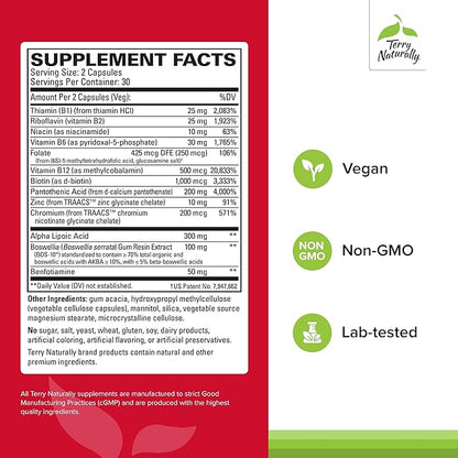 Terry Naturally Healthy Feet & Nerves - Herbal Supplement with Bioactive Vitamin B12 - Circulation & Nerve Health Support Supplement - Vegan Capsules with Boswellia Serrata - 60 Capsules (Pack of 2)