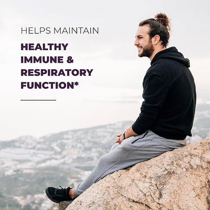 Sandhu's Quercetin with Elderberry Vitamin C & Zinc Capsules for Men & Women | Supports Immune Health | 120 Count (Pack of 1)