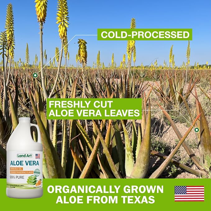 Land Art Aloe Vera Drinkable Gel - Orange Tangerine Flavored - Cold-Processed - Organic Fresh Leaves - 64floz + Liquid Chlorophyll Mint Flavored - Cold Extracted from Wild Non-GMO Alfalfa - 16floz