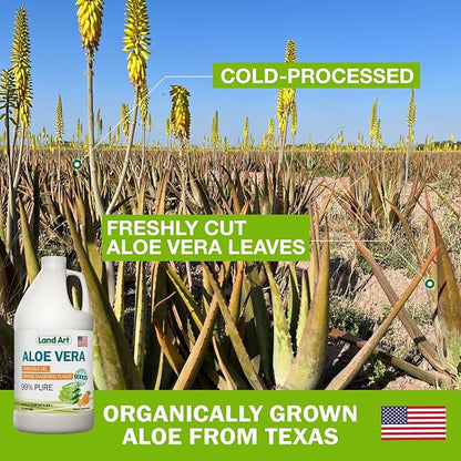 Land Art Aloe Vera Drinkable Gel - Orange Tangerine Flavored - Cold-Processed - Organic Fresh Leaves - 64floz + Liquid Chlorophyll Mint Flavored - Cold Extracted from Wild Non-GMO Alfalfa - 16floz