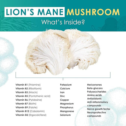 Lion’s Mane Powder - Organic Lions Mane Mushroom Extract for Cognitive & Nervous System Support - Brain Supplements for Memory and Focus 60g