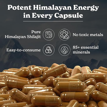 Shilajit Capsules | Himalayan Superfood | Lab-Tested for Purity | Helps Improve Energy & Stamina | 1-Month Dietary Supplement