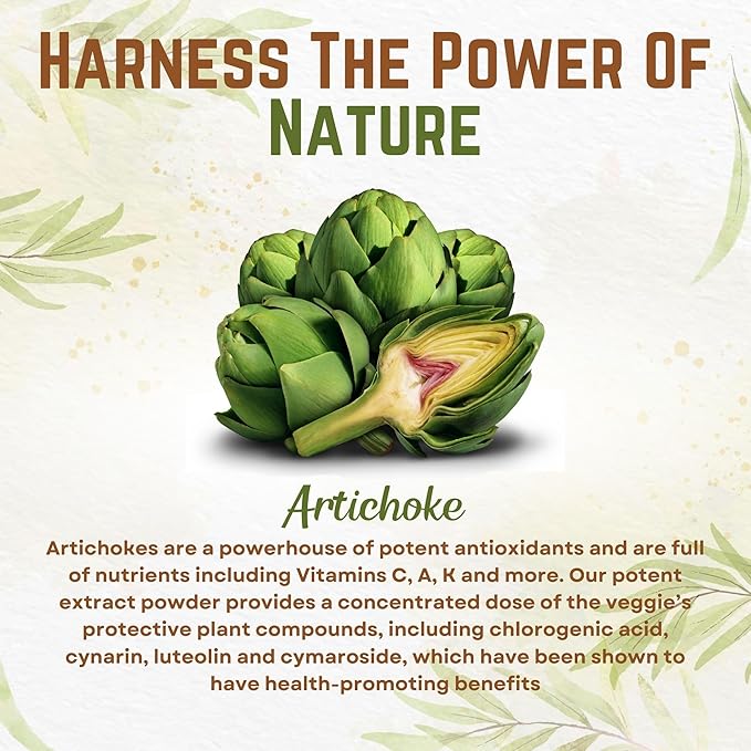 Go Nutra Artichoke Extract Powder Potent 5% Cynarin Artichoke Powder Pure Artichoke Leaf & Stem 4oz. | 150 Servings