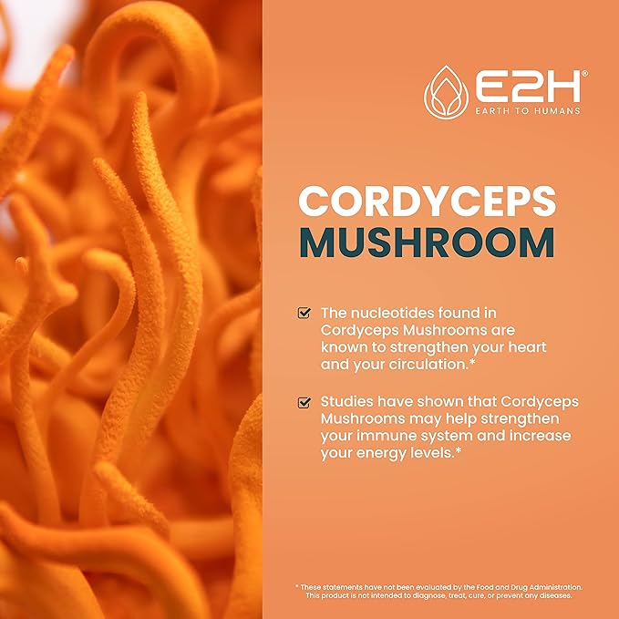 E2H Cordyceps Mushroom Extract - All-Natural Immune System, Energy & Stamina Support from Advanced Mushroom Supplement - Cordyceps Mushrooms Supplement - Non-GMO, Vegan (3 Bottles)