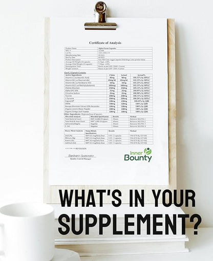 Focus 14-in-1 Nootropic Brain Supplement with Lions Mane, Alpha GPC Choline, Vitamin C & B12, Taurine, Bacopa - Energy, Cognitive, Memory Support, 60 Filler Free Capsules