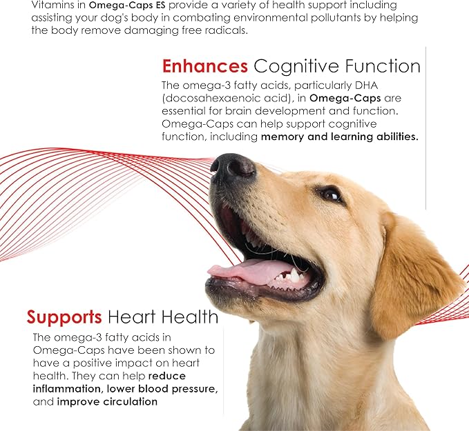 Omega-Caps Extra Strength for Large Breeds-Vet Formulated for Healthy Radiant Skin & Coat While Reducing Excess Shedding. Contains Omega 3 for Immune System Support, Easy to Dose, 60 Soft Gel Capsules