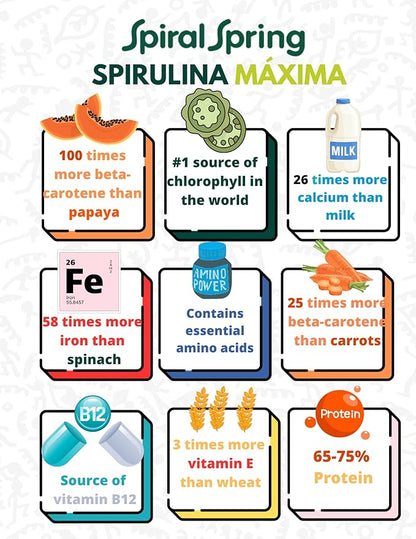 Spiral Spring Organic Spirulina + Quinoa and Cocoa 100% Natural, 200 Gr Bag with Quinoa, Cocoa and Maximum Spirulina Powder Mixture.