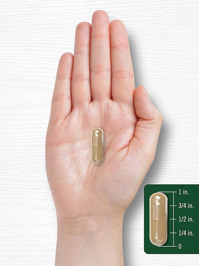 Carlyle Artichoke Leaf Extract 8000mg | 200 Capsules | Non-GMO & Gluten Free Herbal Supplement