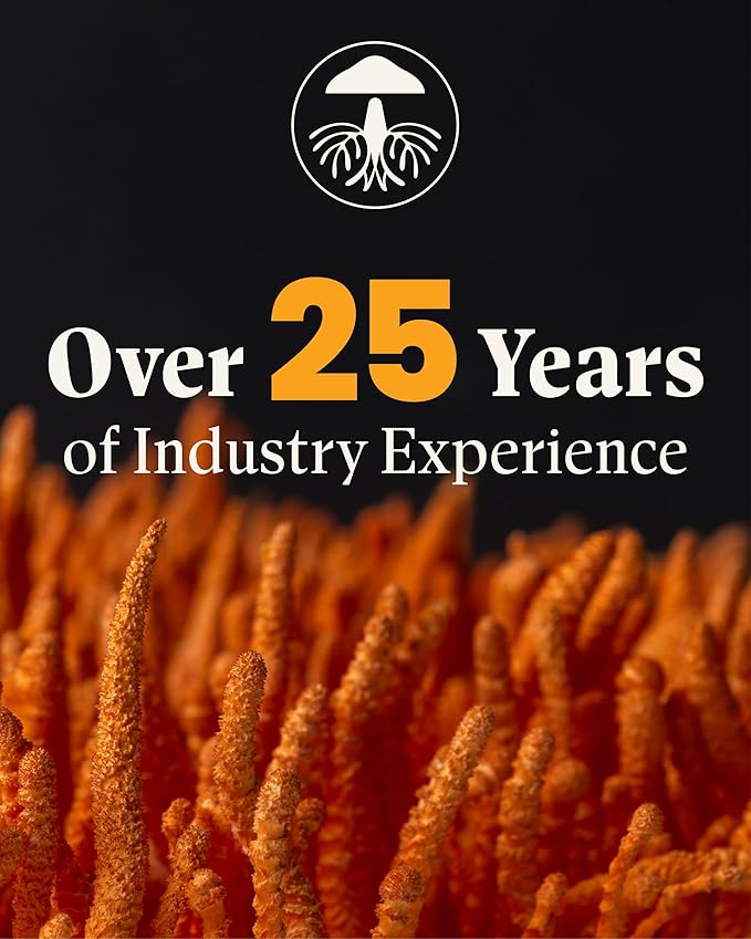 Organic Red Reishi Mushroom Capsules, Reishi Mushroom Powder Supplement, Immune Support, Traditional Nervous System Support & Cardiovascular Health, 90 Vegan Capsules