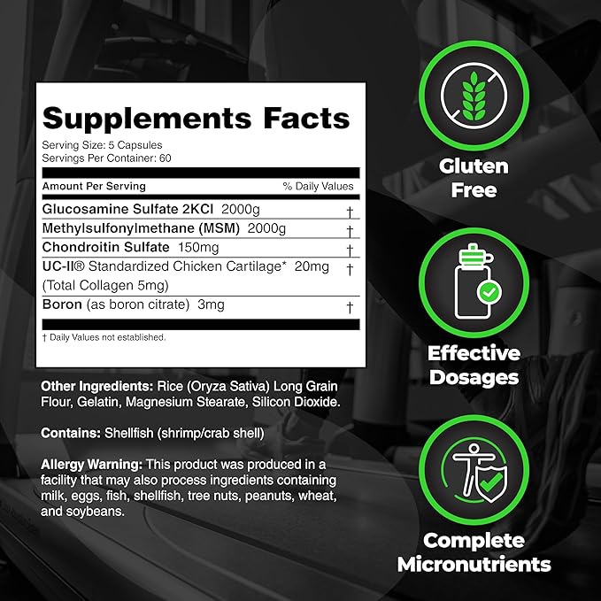 Species Bundle: Omegalyze Essential Fatty Acids + Arthrolyze Joint Repair with UC-II Collagen and MSM for Joint Comfort, Connective Tissue, and Full Recovery
