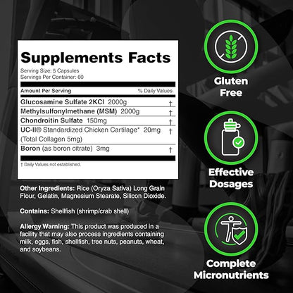 Species Bundle: Omegalyze Essential Fatty Acids + Arthrolyze Joint Repair with UC-II Collagen and MSM for Joint Comfort, Connective Tissue, and Full Recovery
