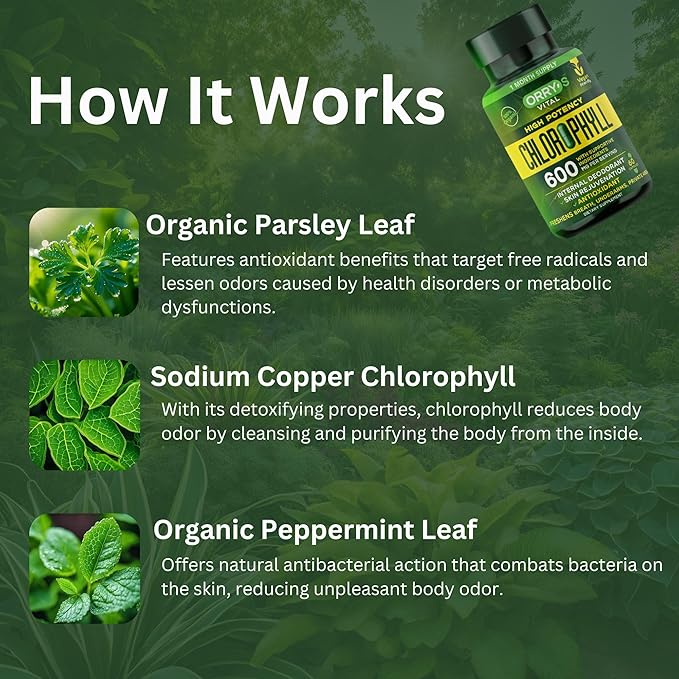 Orry's Vital Chlorophyll Capsules 600 mg - Natural Internal Deodorant to Detox Body Odor, Armpits & Private Parts - Body-Deodorizing Supplement: Supports Immunity and Digestion - 60 Chlorophyll Pills